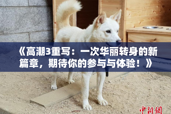 《高潮3重写：一次华丽转身的新篇章，期待你的参与与体验！》