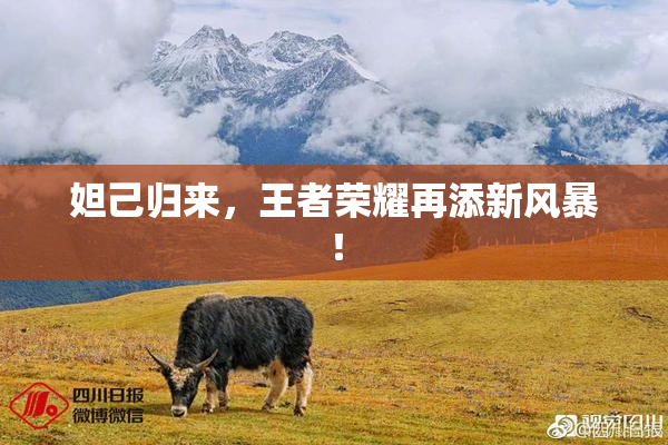 妲己归来，王者荣耀再添新风暴！