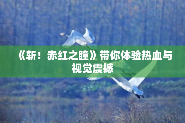 《斩！赤红之瞳》带你体验热血与视觉震撼