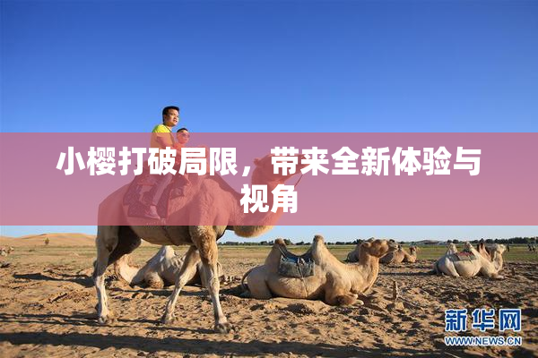 小樱打破局限，带来全新体验与视角