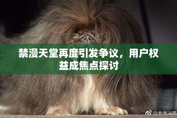禁漫天堂再度引发争议，用户权益成焦点探讨