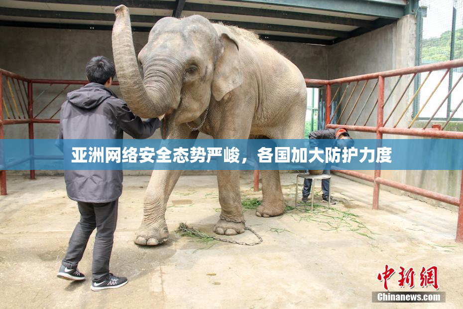 亚洲网络安全态势严峻，各国加大防护力度