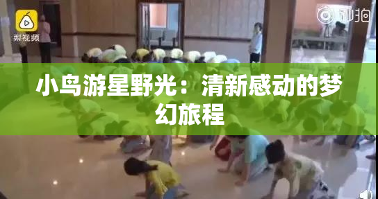 小鸟游星野光：清新感动的梦幻旅程