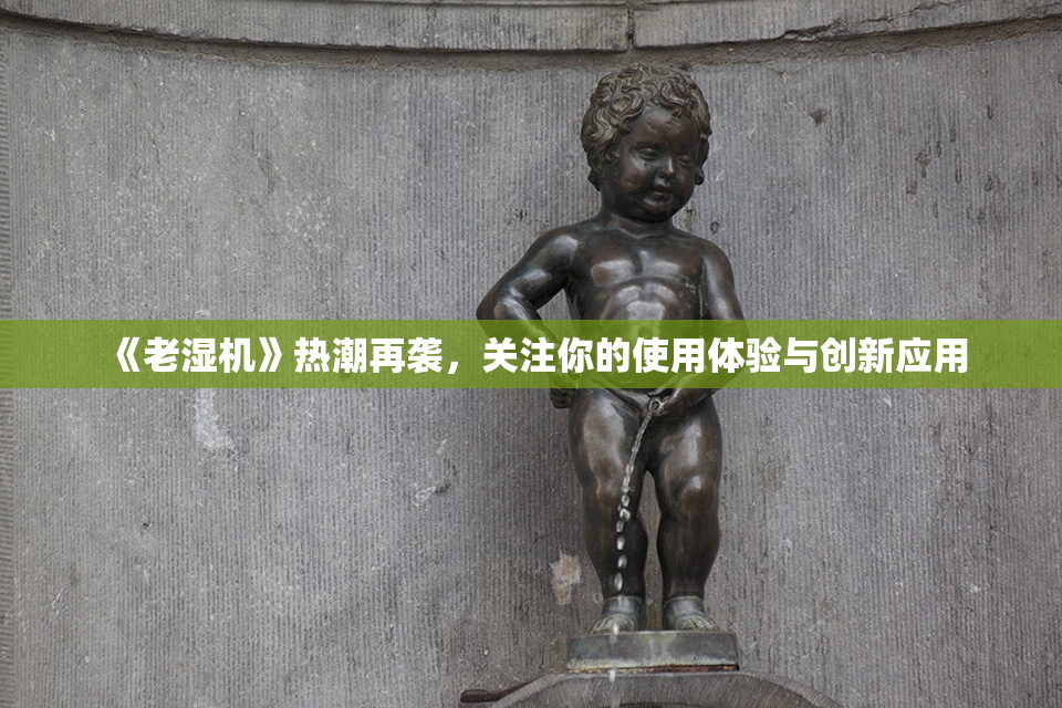 《老湿机》热潮再袭，关注你的使用体验与创新应用