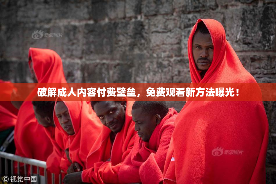 破解成人内容付费壁垒，免费观看新方法曝光！