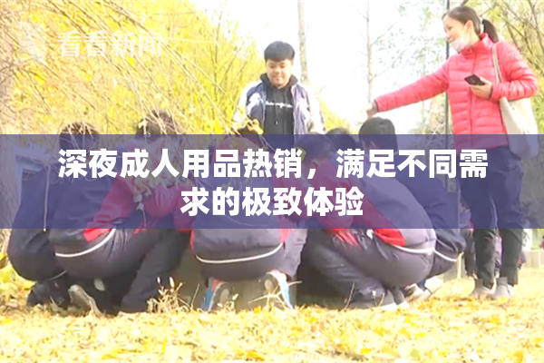 深夜成人用品热销，满足不同需求的极致体验