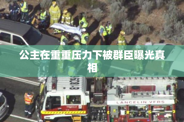 公主在重重压力下被群臣曝光真相