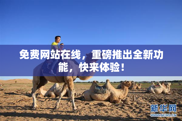 免费网站在线，重磅推出全新功能，快来体验！