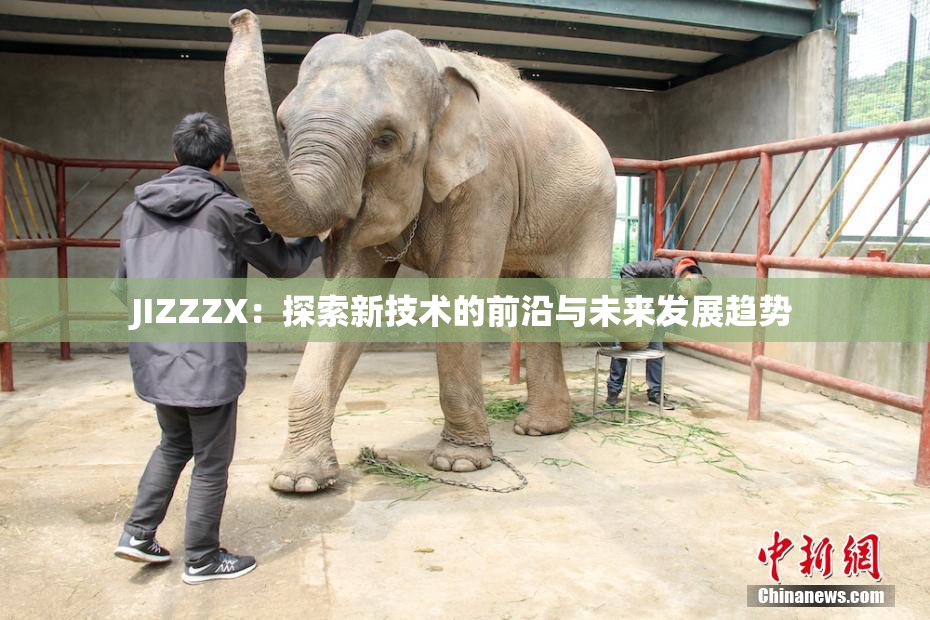 JIZZZX：探索新技术的前沿与未来发展趋势