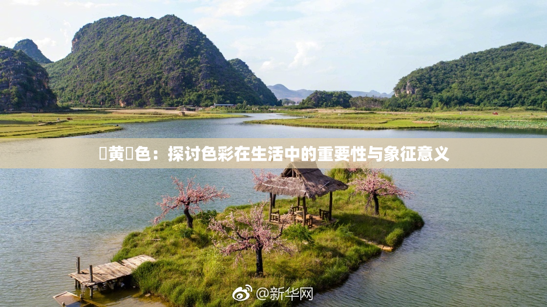 ✿黄✿色：探讨色彩在生活中的重要性与象征意义