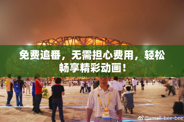 免费追番，无需担心费用，轻松畅享精彩动画！
