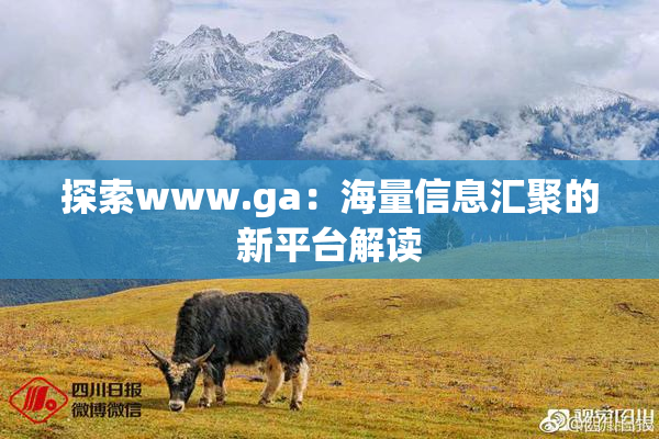 探索www.ga：海量信息汇聚的新平台解读