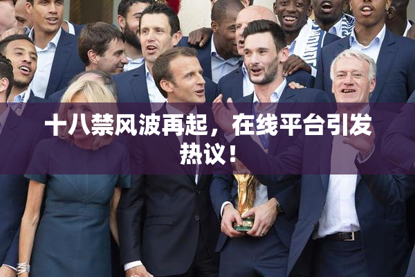 十八禁风波再起，在线平台引发热议！