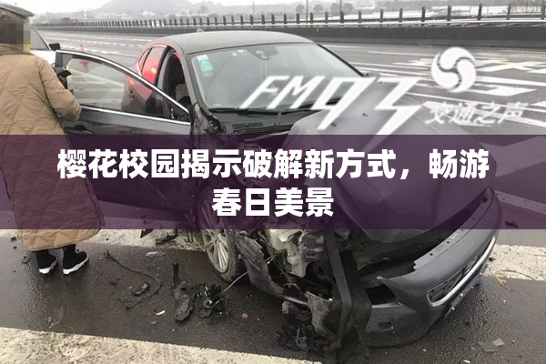 樱花校园揭示破解新方式，畅游春日美景