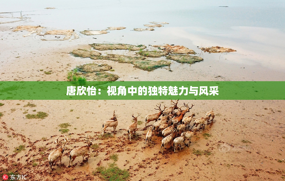 唐欣怡：视角中的独特魅力与风采