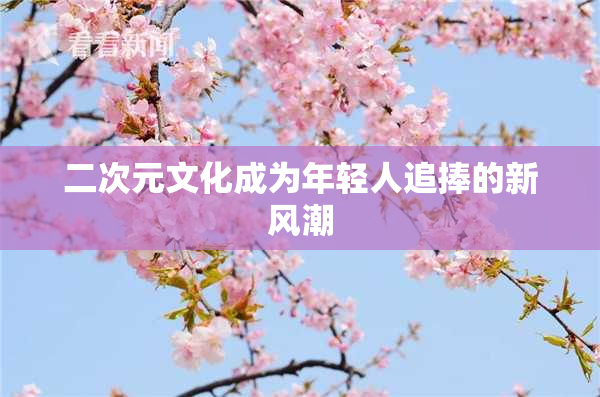 二次元文化成为年轻人追捧的新风潮