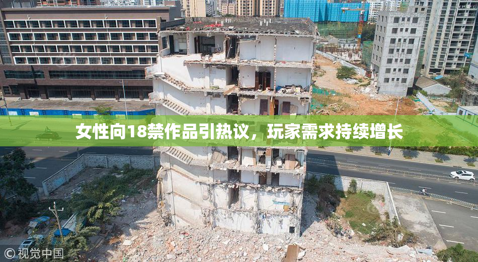 女性向18禁作品引热议，玩家需求持续增长
