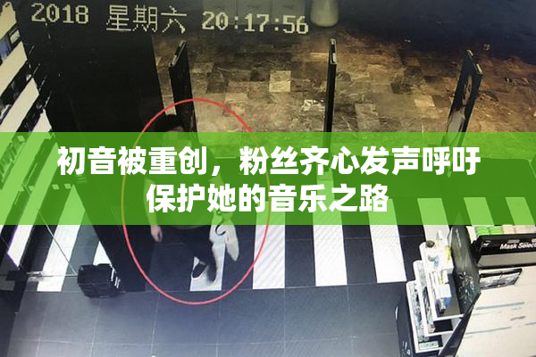 初音被重创，粉丝齐心发声呼吁保护她的音乐之路