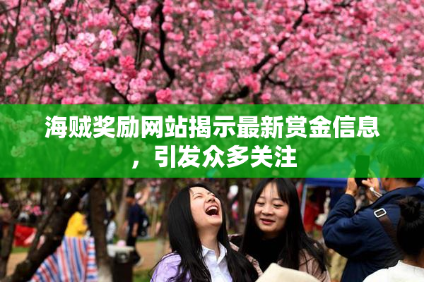 海贼奖励网站揭示最新赏金信息，引发众多关注