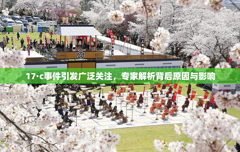 17·c事件引发广泛关注，专家解析背后原因与影响