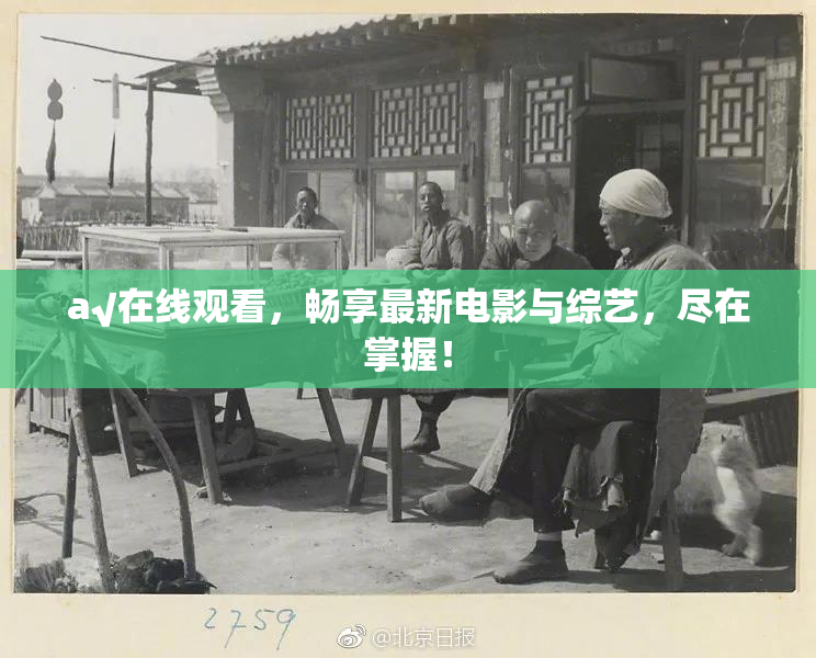 a√在线观看，畅享最新电影与综艺，尽在掌握！