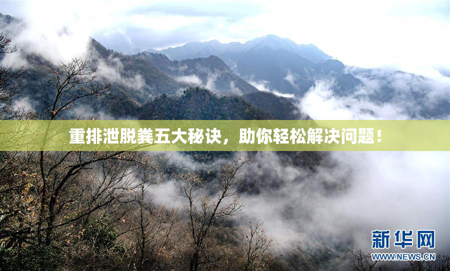 重排泄脱粪五大秘诀，助你轻松解决问题！