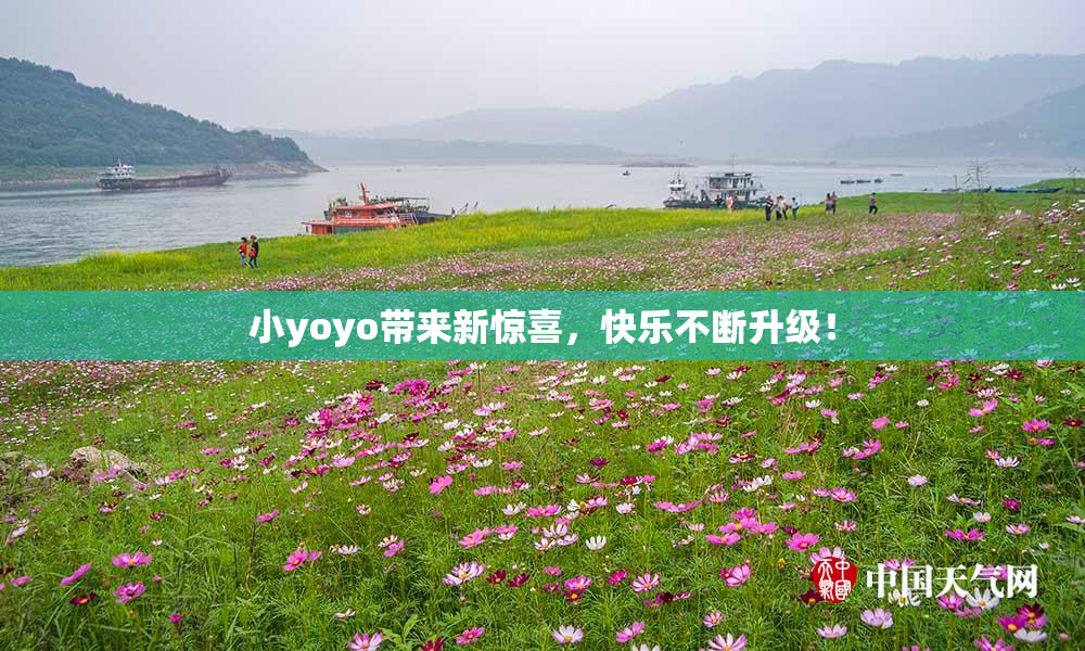 小yoyo带来新惊喜，快乐不断升级！