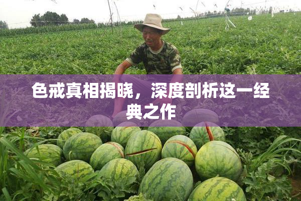 色戒真相揭晓，深度剖析这一经典之作