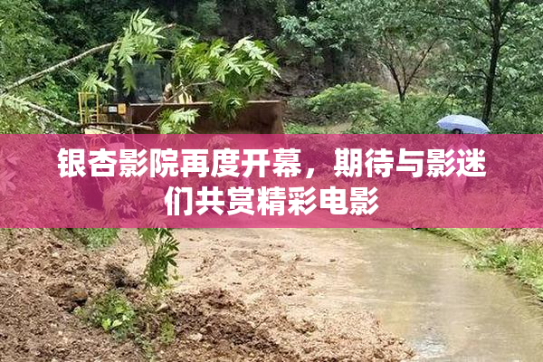 银杏影院再度开幕，期待与影迷们共赏精彩电影
