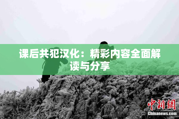 课后共犯汉化：精彩内容全面解读与分享
