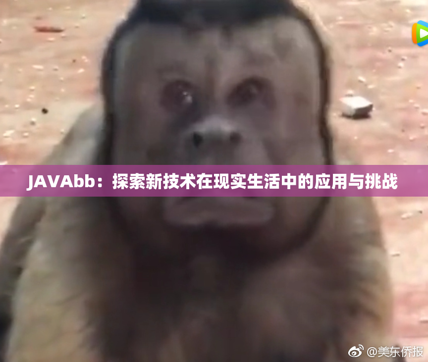 JAVAbb：探索新技术在现实生活中的应用与挑战