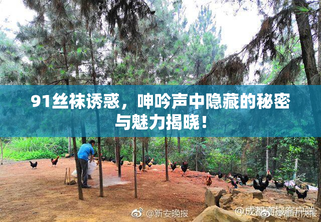 91丝袜诱惑，呻吟声中隐藏的秘密与魅力揭晓！