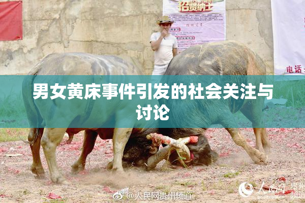 男女黄床事件引发的社会关注与讨论