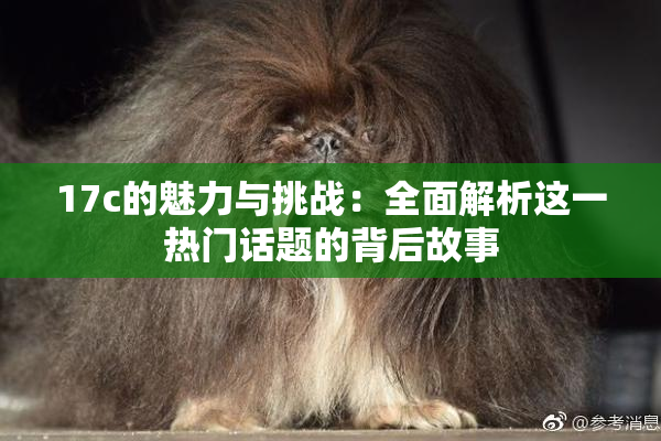 17c的魅力与挑战：全面解析这一热门话题的背后故事
