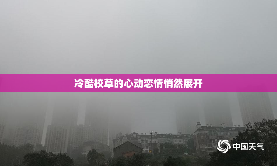 冷酷校草的心动恋情悄然展开