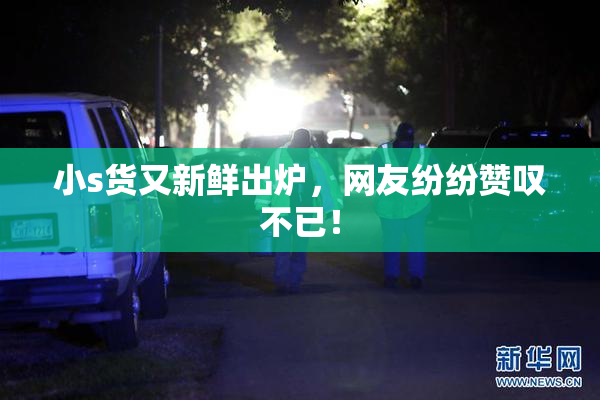 小s货又新鲜出炉，网友纷纷赞叹不已！