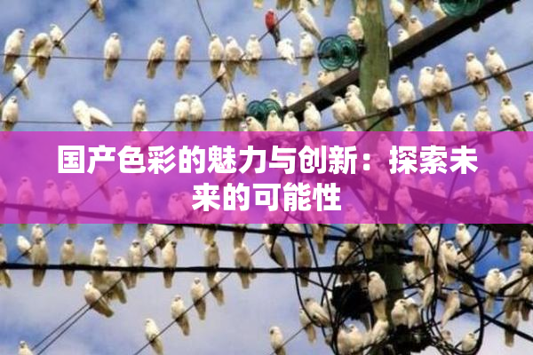国产色彩的魅力与创新：探索未来的可能性