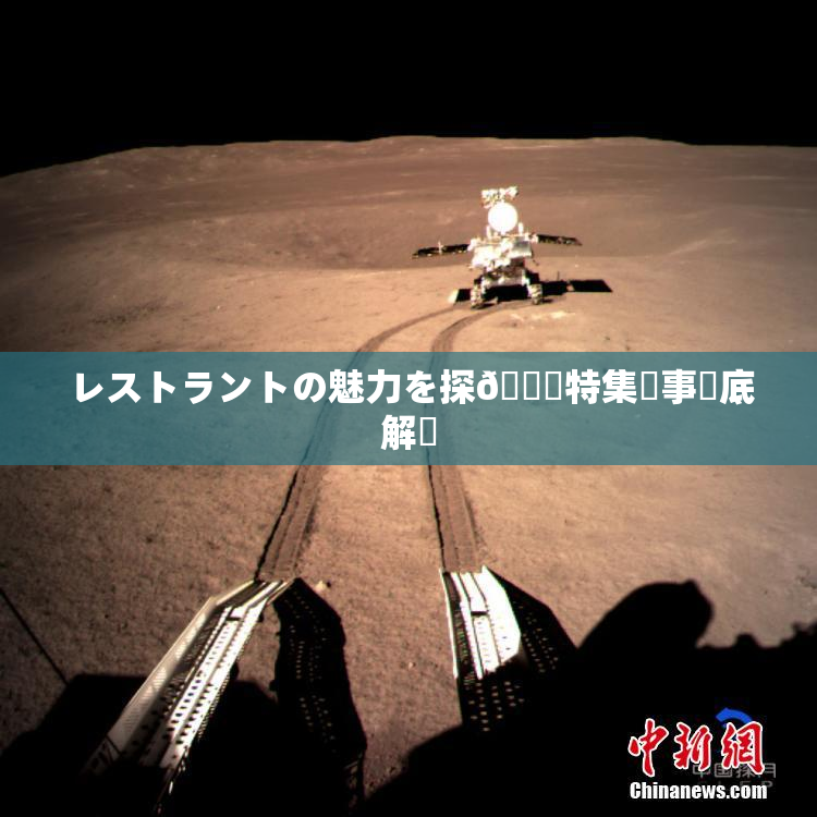 レストラントの魅力を探🌃特集記事徹底解説