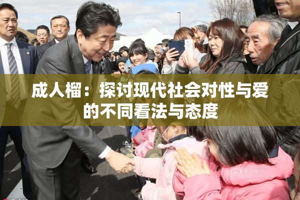 成人榴：探讨现代社会对性与爱的不同看法与态度