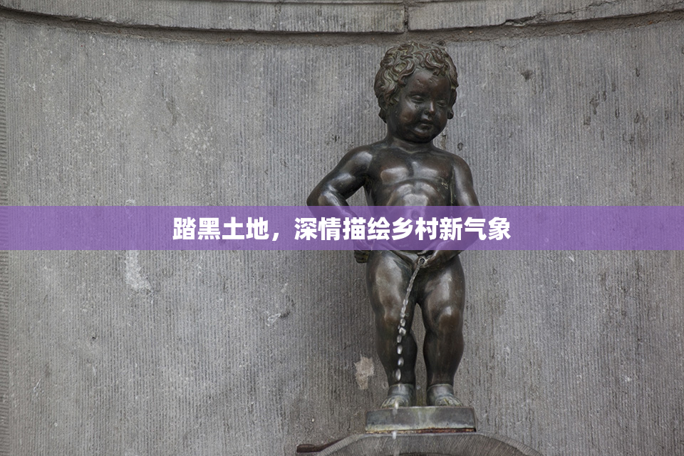 踏黑土地，深情描绘乡村新气象