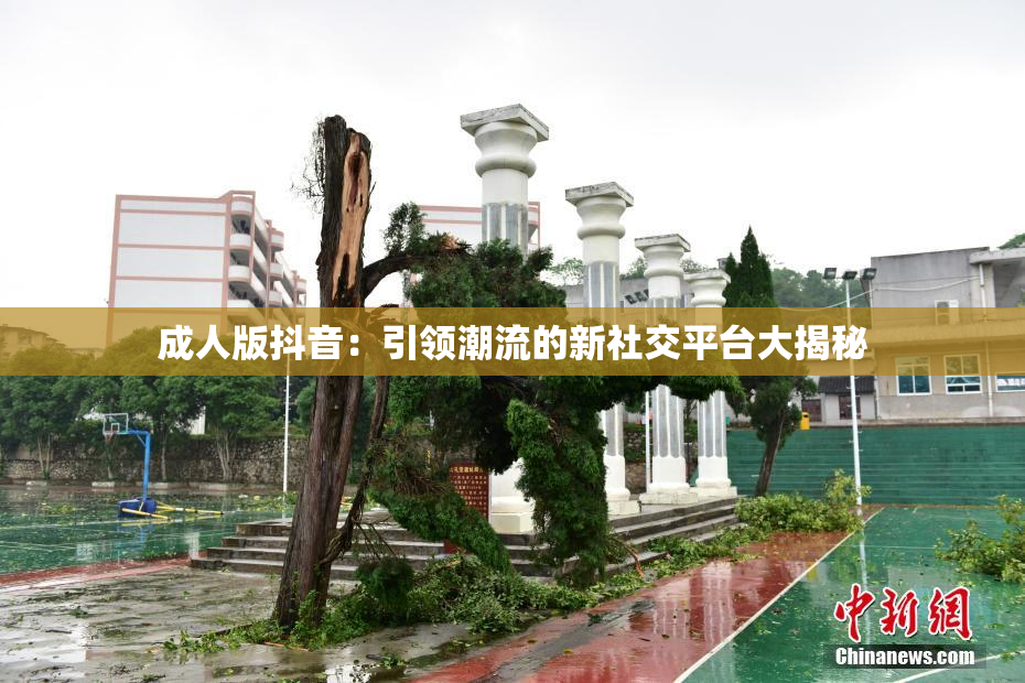 成人版抖音：引领潮流的新社交平台大揭秘