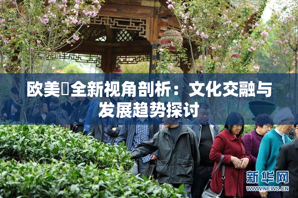 欧美巜全新视角剖析：文化交融与发展趋势探讨