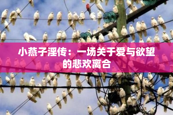 小燕子淫传：一场关于爱与欲望的悲欢离合