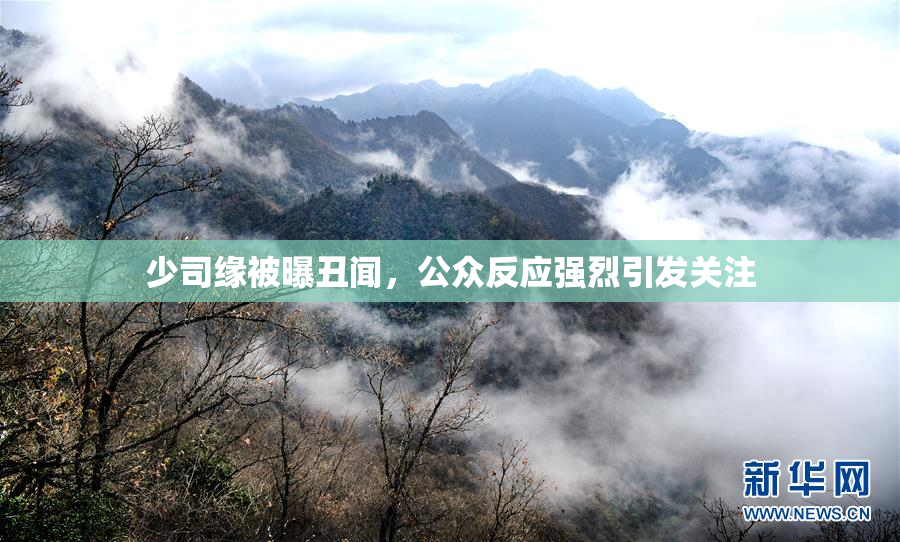 少司缘被曝丑闻，公众反应强烈引发关注