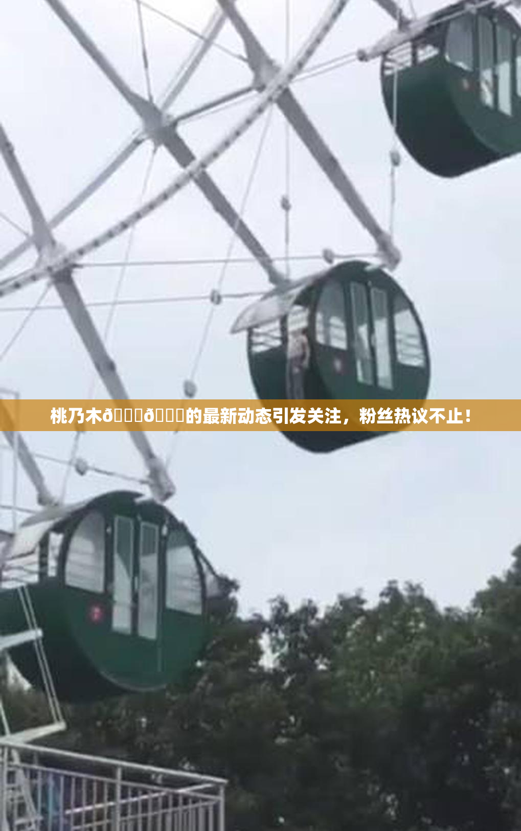 桃乃木💋🍑的最新动态引发关注，粉丝热议不止！