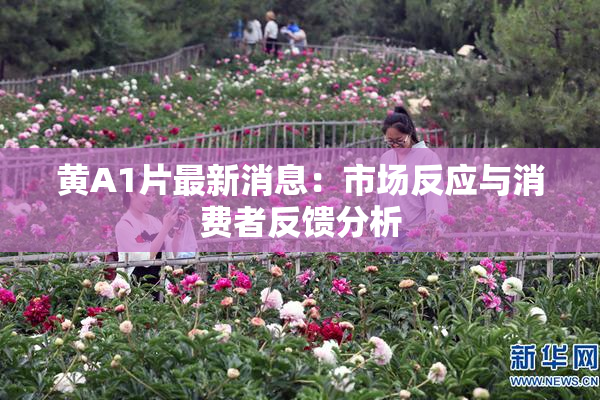 黄A1片最新消息：市场反应与消费者反馈分析