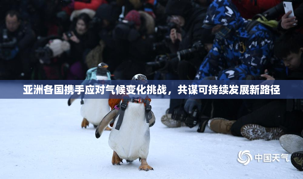 亚洲各国携手应对气候变化挑战，共谋可持续发展新路径