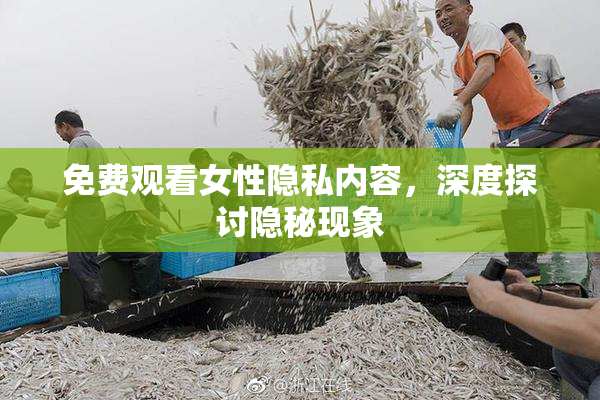 免费观看女性隐私内容，深度探讨隐秘现象