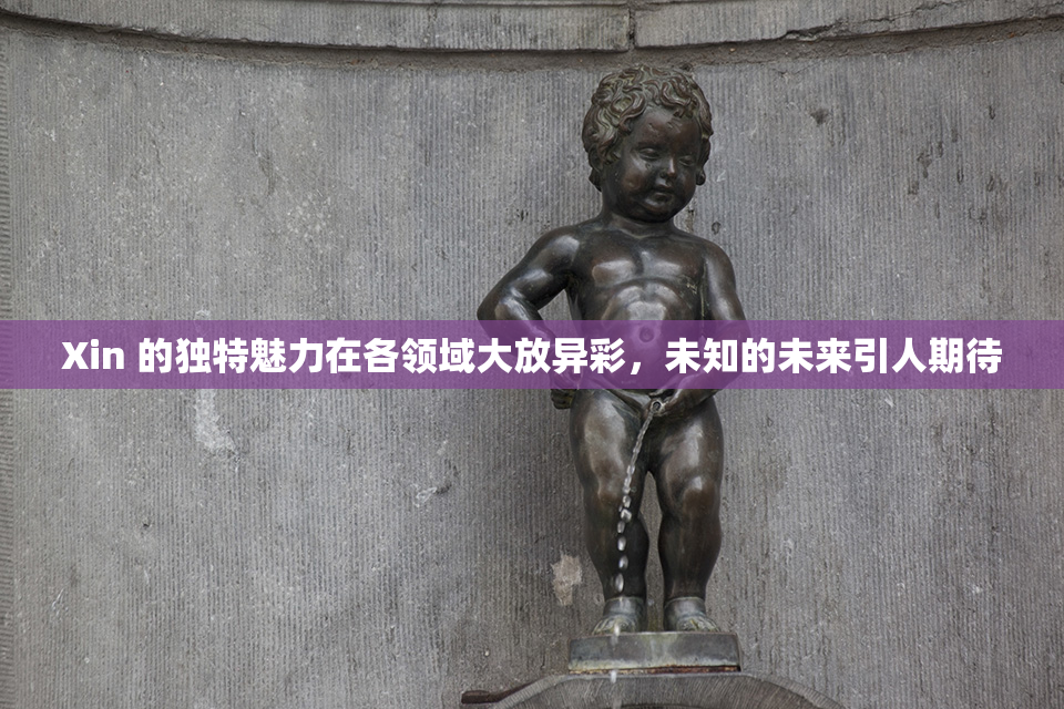Xin 的独特魅力在各领域大放异彩，未知的未来引人期待