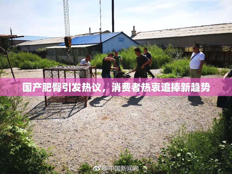 国产肥臀引发热议，消费者热衷追捧新趋势